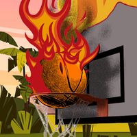 Home Flipper Dunk