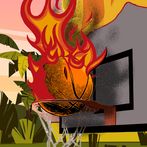 Home Flipper Dunk