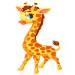 AnimalsPhotoR