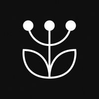 Gyógyító növények számos bajra