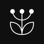 Gyógyító növények számos bajra