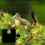 Awesome Life Puzzles