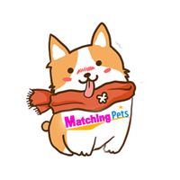 Matching Pets Game