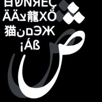 Burushaski Word Challenge