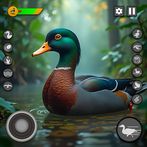 Virtual Duck Family Game 3D
