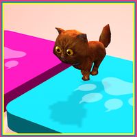 Crazy Cat Adventure
