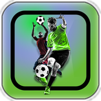 Football Kick Goal Career Mode