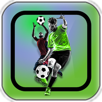 Football Kick Goal Career Mode