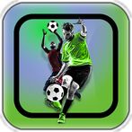 Football Kick Goal Career Mode