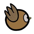 Flying Nestling