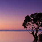 나라별 수도 맞추기