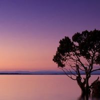 나라별 수도 맞추기