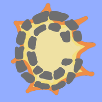 Crush Crush Get Rid of Stress!