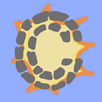 Crush Crush Get Rid of Stress!