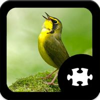 Bird Jigsaw Puzzle