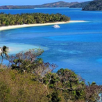 Tropical Jungle Survive Hunger