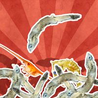 Jako Collection - Coin Dozer