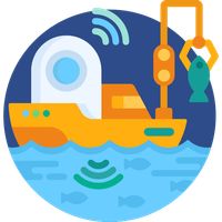 Finding Fish