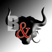 Bulls and Cows