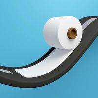 Toilet Rush