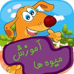 آموزش میوه ها