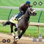Horse Racing Star Horse Games