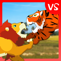 Lion Fights Tiger