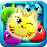 Cute Cat Pop