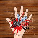 Buzz Slayer - Mosquito Smasher