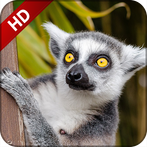 Animal sounds for kids