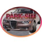 Parking Simulator