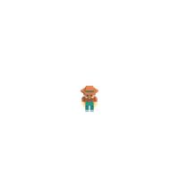 Corral player