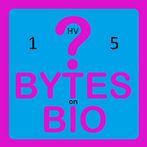 BoB Quiz 1HV5