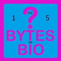 BoB Quiz 1HV5