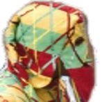 Salvar al Cipotegato