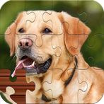 Jigsaw puzzle: Block Puzzle 3d