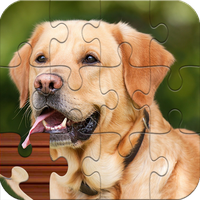 Jigsaw puzzle: Block Puzzle 3d