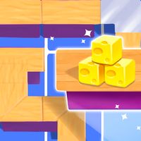 The Cook Puzzle