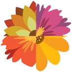 Monica - concentration trainer