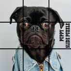 Puppy Dog Puzzle Slide - Slidi