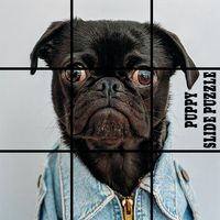Puppy Dog Puzzle Slide - Slidi