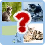 4 Pic 1 Word - Guess The Word