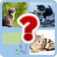 4 Pic 1 Word - Guess The Word