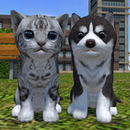 Cute Cat And Puppy World