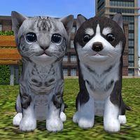 Cute Cat And Puppy World