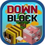 Down Block