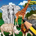 Animal Coloring Kingdom AR