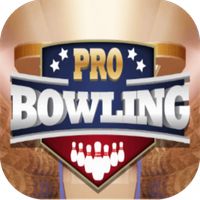 Pro Bowling 3D Game