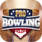 Pro Bowling 3D Game