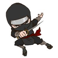 Ninja Warrior
